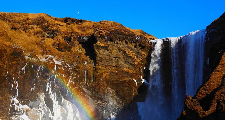 Eisiger Skogafoss-Wasserfall mit einem leuchtenden Regenbogen unter einem klaren blauen Himmel.