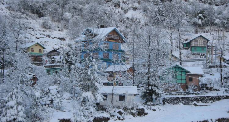 Schneebedecktes Bergdorf mit bunten Häusern zwischen Kiefern an einem weißen Hang.