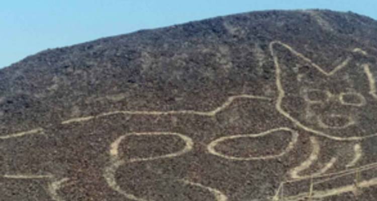 Foto con enfoque suave de un geoglifo en ladera que se asemeja a un gato delineado en una pendiente rocosa.
