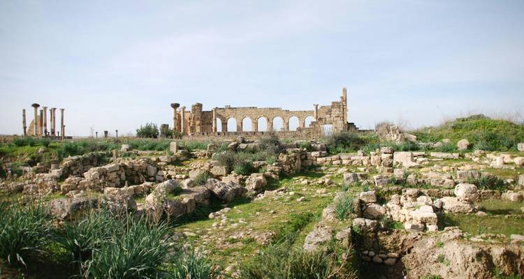 Weitläufiges archäologisches Feld mit verstreuten Säulenfragmenten und Bögen einer antiken römischen Stadt inmitten grasiger Ruinen