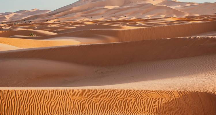 Rhythmische Wellen und geschwungene Kämme endloser orangefarbener Sanddünen unter sanftem Abendlicht.
