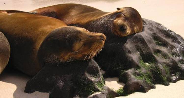 Galapagos Islands on Eric & Letty - World Expeditions
