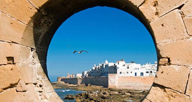 Remparts blanchis à la chaux d'Essaouira vus à travers une embrasure de canon ronde en pierre avec une mouette qui plane.