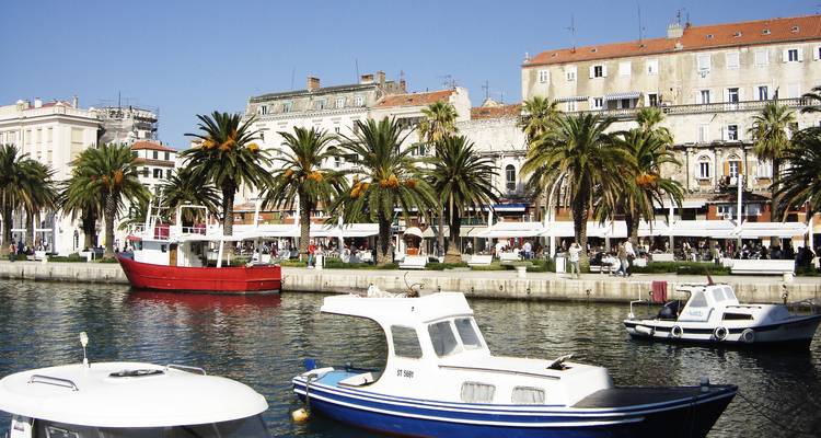Paseo marítimo bordeado de palmeras con barcos amarrados y edificios históricos bajo un cielo despejado.