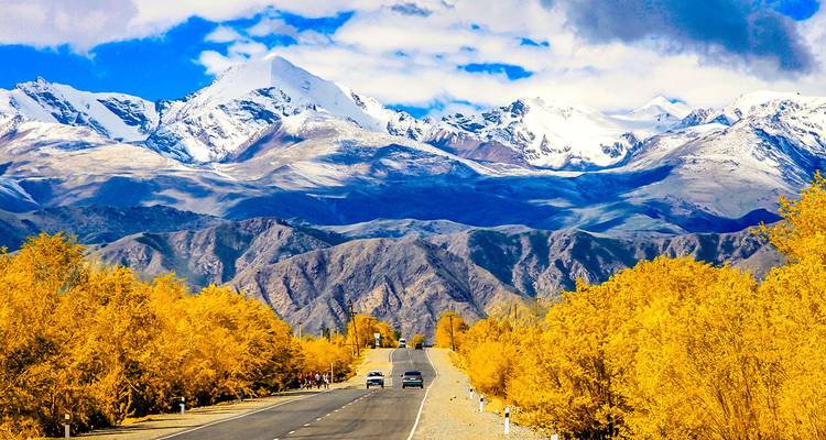 Route panoramique menant vers des montagnes enneigées encadrées d'arbres dorés d'automne.
