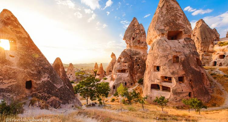 La cálida luz del amanecer baña las chimeneas de hadas en forma de cono de Capadocia y los árboles dispersos.