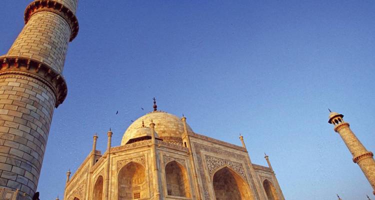 Marmorkuppeln und Minarette des Taj Mahal leuchten warm vor einem klaren blauen Himmel, fotografiert aus einem niedrigen künstlerischen Winkel.