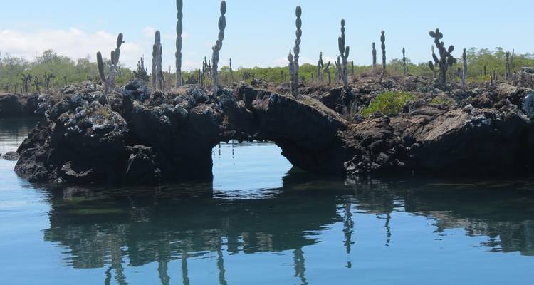 Natural lava arch studded with tall cacti reflected in calm turquoise water of a coastal lagoon.