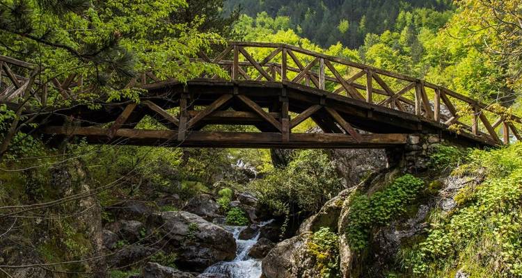Rustieke houten voetgangersbrug die een bosrijke bergbeek overspant in het weelderige Vikos Nationaal Park.