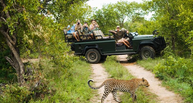Open safari jeep met opgewonden toeristen fotografeert een luipaard die een zandpad oversteekt in weelderige struikgewas.