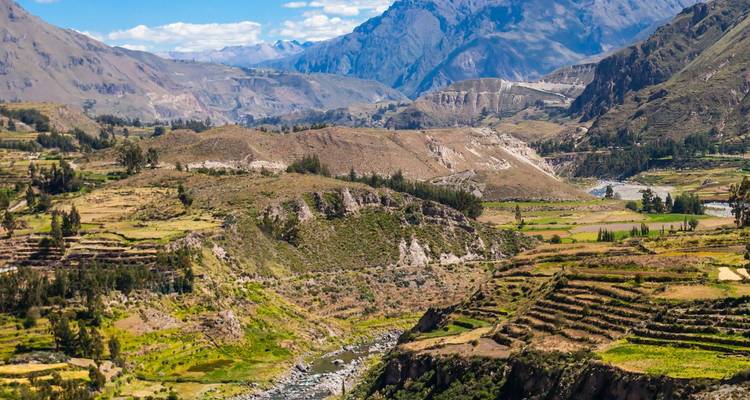Green terraced valley and river running through the Colca Canyon region under blue skies.