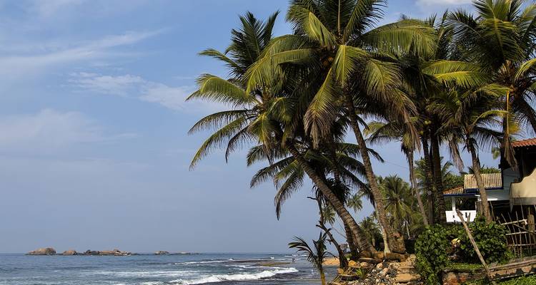 Una costa tropical tranquila con palmeras inclinadas sobre olas suaves y un cielo azul despejado.