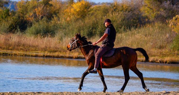 Man riding a horse along a sandy lakeshore with autumn trees and calm water in the background.