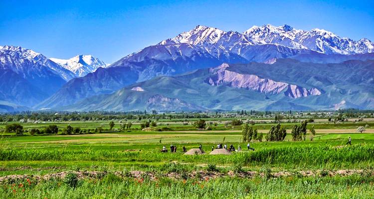 Expansive green farmland with workers harvesting crops below towering snow-capped mountains under clear blue skies.