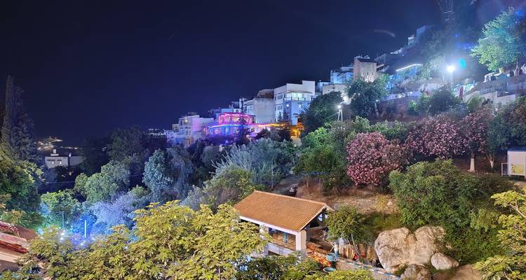 Nighttime hillside scene with glowing restaurants and homes nestled among lush trees and blooming bushes.