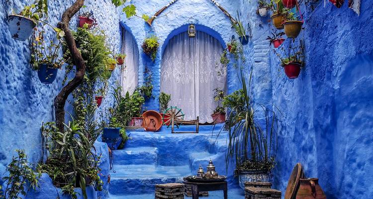 Cozy blue courtyard with plants, pottery and a small seating area beneath an arched doorway.