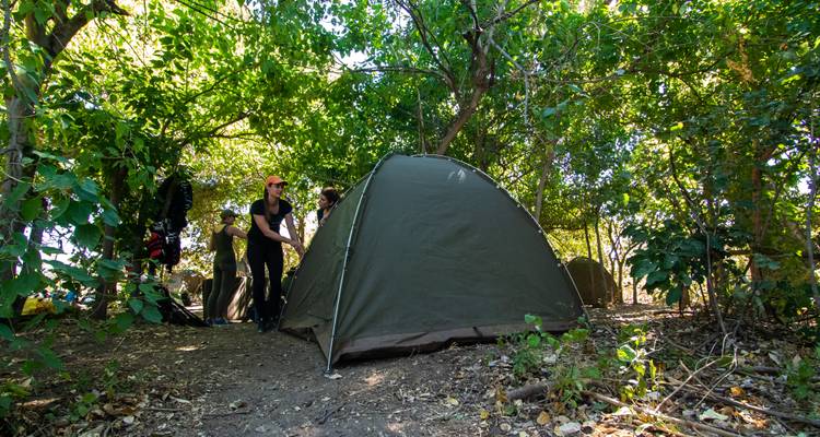 Reizigers zetten een groene koepeltent op bij een schaduwrijke bosachtige kampeerplaats.