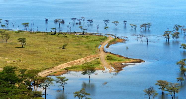 Luchtfoto van een schiereiland en overstroomde acacia-bosses die uitstrekken tot in een glitterend blauw meer.