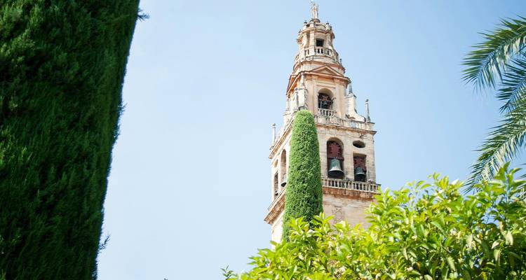 Schlanker Glockenturm der Moschee-Kathedrale von Córdoba, umrahmt von Grün vor blauem Himmel