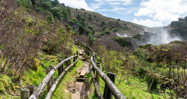 Wooden path winding through steaming geothermal valley with lush vegetation