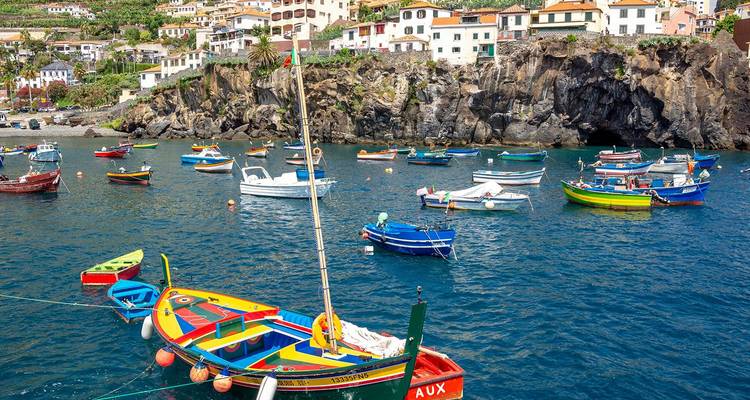 Colourful fishing boats floating in a sheltered harbour backed by pastel houses and rocky cliffs in Madeira.