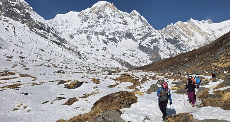 A caravan of trekkers navigates a snowy Himalayan valley framed by massive peaks under clear skies.