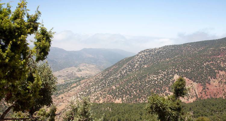 Panoramablick über bewaldete Hänge und Grate des Hohen Atlas-Gebirges.