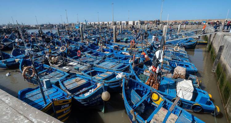 Dutzende blauer Holzfischerboote drängten sich in Essaouiras geschäftigem Hafen.
