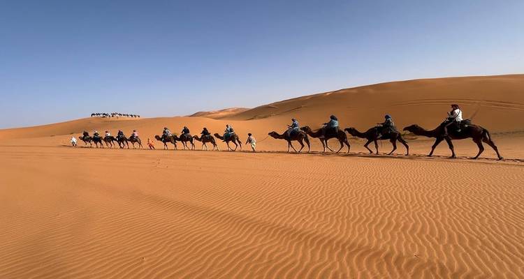 Long caravan of camels led by guides crossing vast rippled dune under clear sky