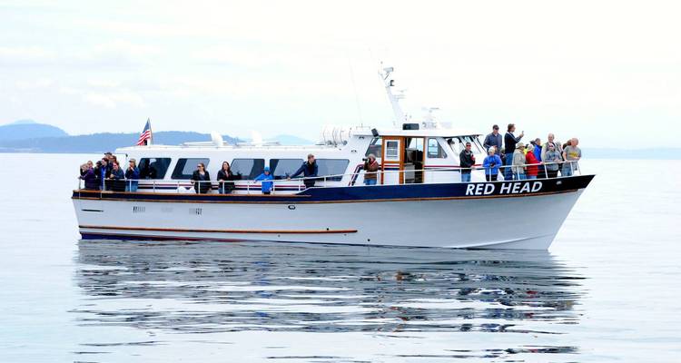Excursieboot genaamd 'RED HEAD' met toeristen aan boord op kalm open water onder een heldere witte lucht.
