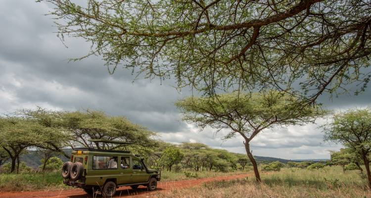 Véhicule de safari roulant le long d'un chemin de terre rouge sous des acacias et des nuages menaçants.
