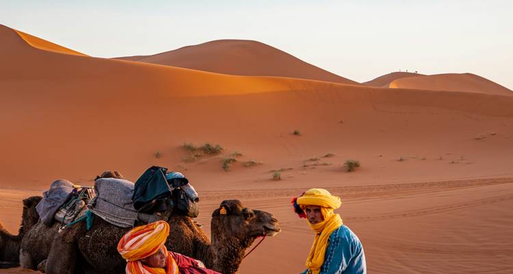Los cuidadores de camellos descansan junto a camellos ensillados mientras la luz dorada se extiende por las dunas del Sahara.