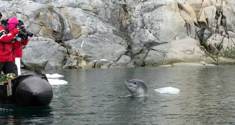 Photographer leans from inflatable boat to capture curious seal surfacing beside rocky shoreline