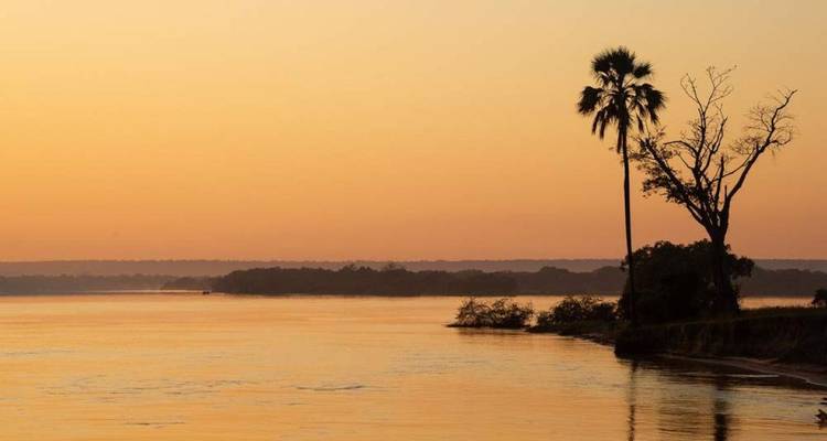 Einsame Palmensilhouette und ruhiger Fluss im sanften orangenen Morgenlicht.