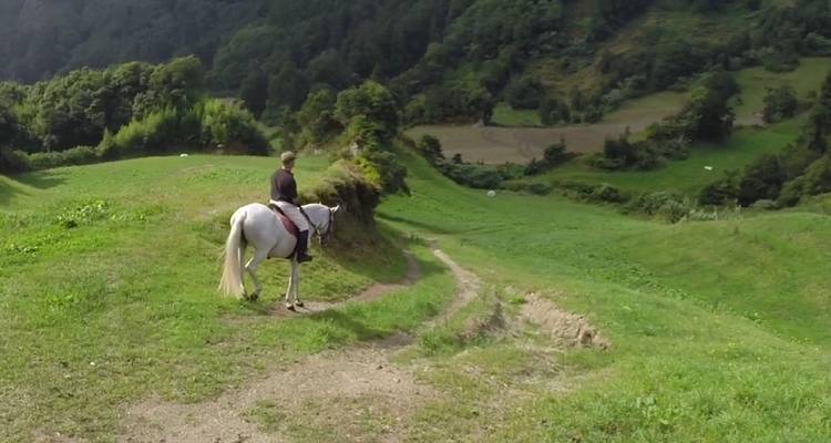 Rider on a white horse pauses on a grassy trail overlooking rolling green valley.