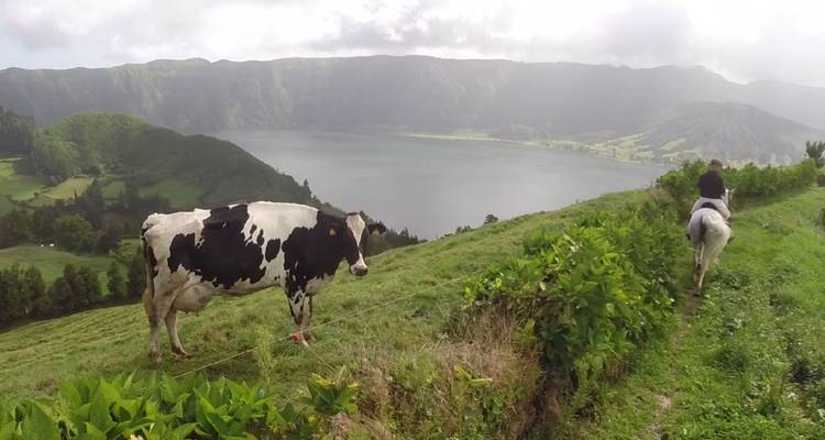 Black-and-white cow grazing on a hillside as a horse and rider follow a trail above a crater lake.