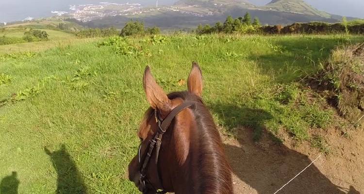 View over a horse's ears to green hills and coastal plain far below.