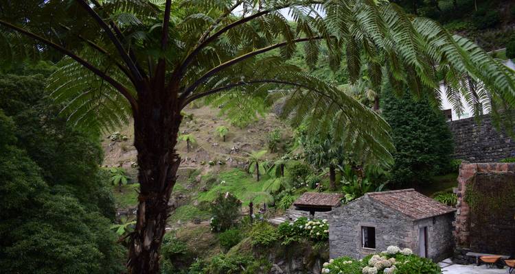 Large tree fern overlooking small stone houses and garden on hillside