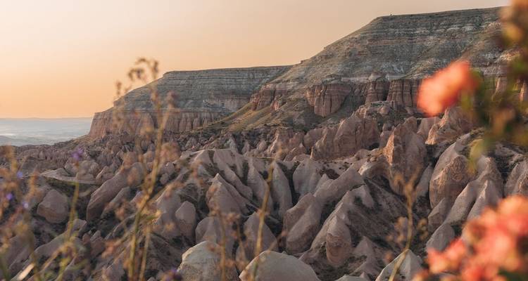 Warmes Sonnenuntergangslicht badet Kappadokiens zerklüftete Felsformationen, während verschwommene Wildblumen den Vordergrund rahmen.