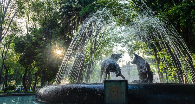 La lumière du soleil filtre à travers les arbres sur les statues de coyotes espiègles d'une fontaine de la ville.