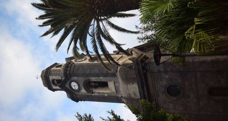 Stone clock tower of a historic church framed by palm fronds against blue sky