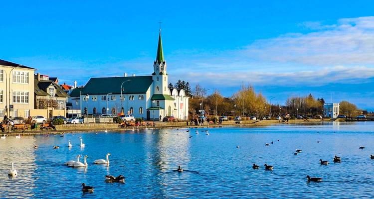 Serene city lake with swans, ducks and the white Fríkirkjan church with green spire reflecting in the water.