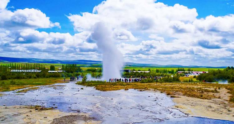 The Strokkur geyser shoots a towering column of steam and water into the sky amid grassy Icelandic plains.