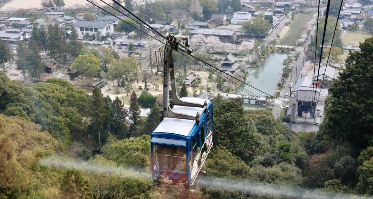 Blue cable car descending over forested slopes toward a town sprinkled with cherry blossoms.