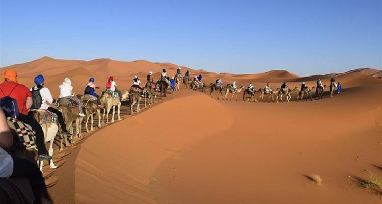 Lange karavaan van kameelruiters die torenhoge oranje zandduinen doorkruist onder een heldere hemel