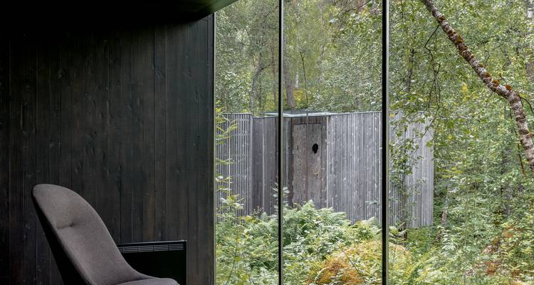 Rincón interior con sillón moderno y ventana grande que da a un denso bosque verde