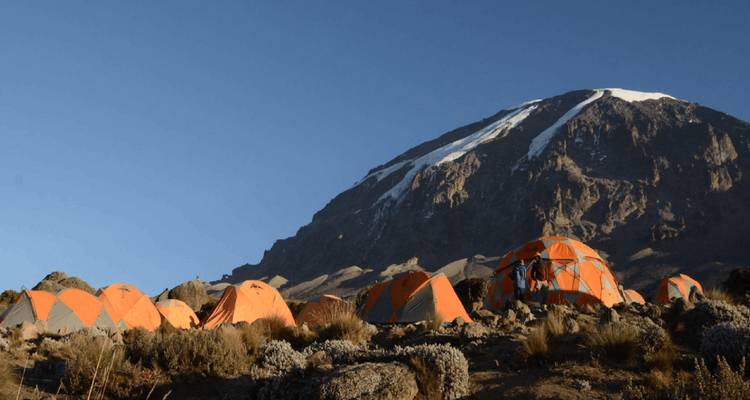 Row of orange dome tents against snow-capped Kilimanjaro peak under clear sky