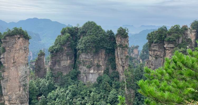 Des montagnes bleues brumeuses encadrent de robustes tours de pierre surmontées de conifères au-dessus d'un épais tapis forestier.