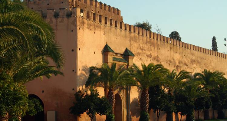 Warmly lit fortified wall with crenellations and rows of palm trees in front.