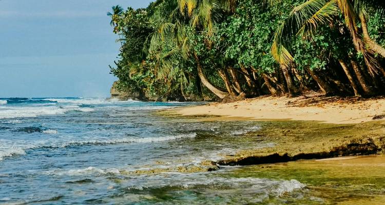 Tropical beach with palm trees leaning over turquoise Caribbean waters.